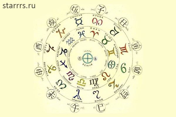 Совместимость Быка и Крысы — насколько будут удачны отношения, описание разных аспектов их жизни вместе