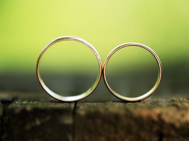 Совместимость Быка и Крысы — насколько будут удачны отношения, описание разных аспектов их жизни вместе