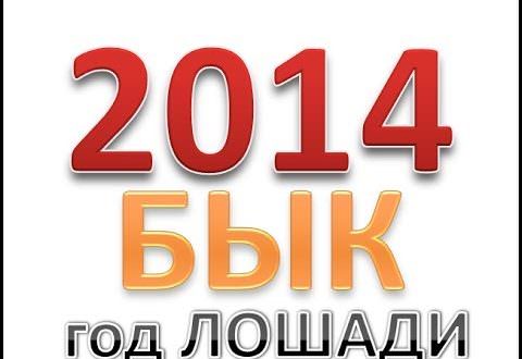 Совместимость Быка и Лошади — насколько будут удачны отношения, описание разных аспектов их жизни вместе