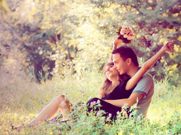 Совместимость Быка и Лошади — насколько будут удачны отношения, описание разных аспектов их жизни вместе