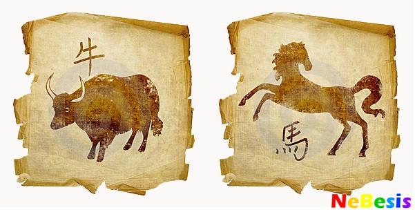 Совместимость Быка и Лошади — насколько будут удачны отношения, описание разных аспектов их жизни вместе