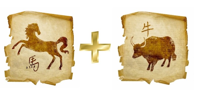 Совместимость Быка и Лошади — насколько будут удачны отношения, описание разных аспектов их жизни вместе