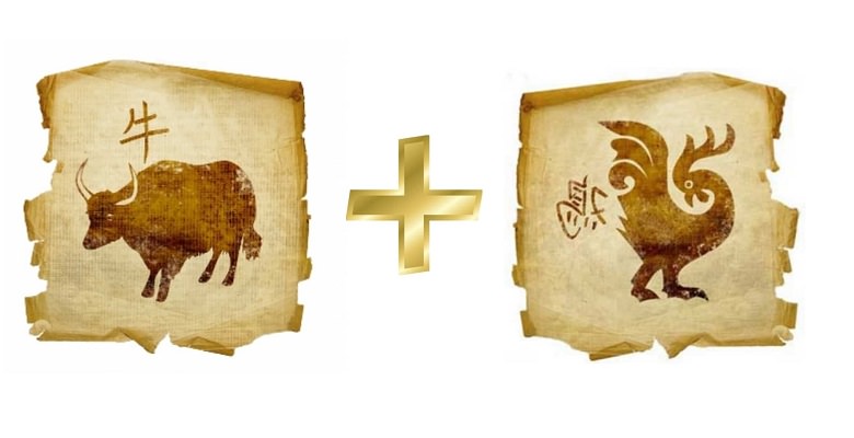 Совместимость Быка и Петуха — насколько будут удачны отношения, описание разных аспектов их жизни вместе