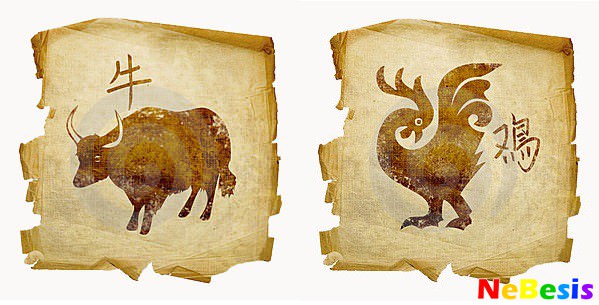 Совместимость Быка и Петуха — насколько будут удачны отношения, описание разных аспектов их жизни вместе