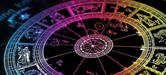 Совместимость дракона и быка — конфликты и любовь