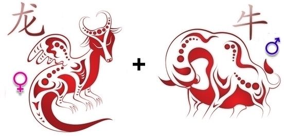 Совместимость дракона и быка — конфликты и любовь