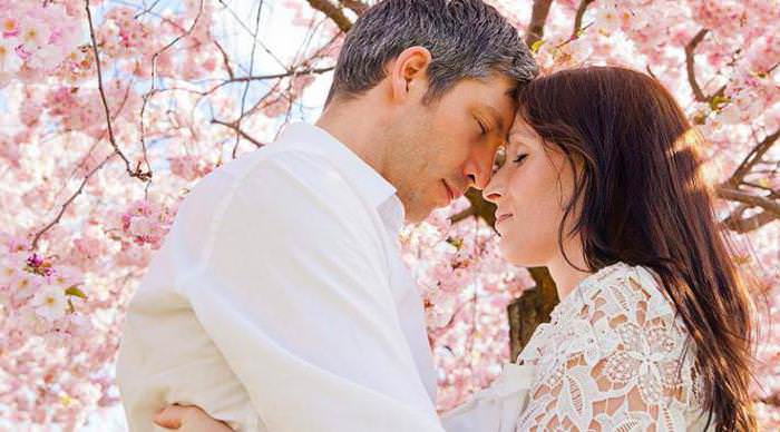 Совместимость дракона и быка — конфликты и любовь