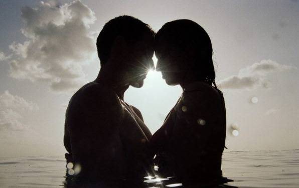 Совместимость дракона и быка — конфликты и любовь