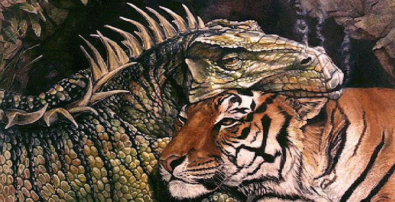 Совместимость драконов — мужчины и женщины