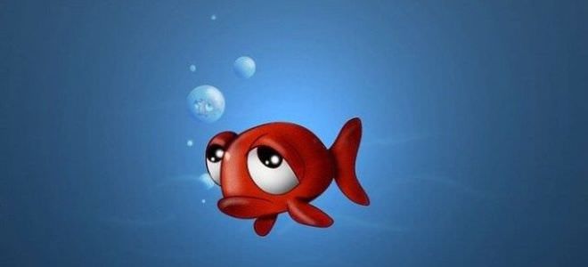 Совместимость козерога и рыб: основные конфликты