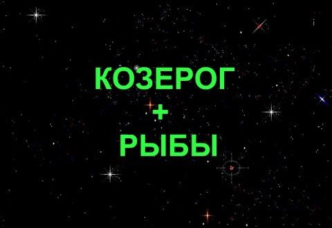 Совместимость козерога и рыб: основные конфликты