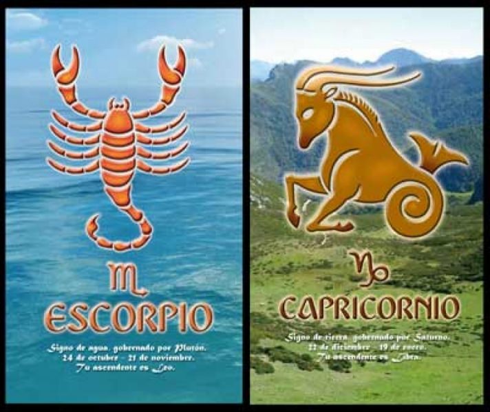 Совместимость козерога и скорпиона: почему происходят ссоры