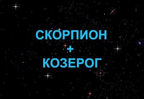 Совместимость козерога и скорпиона: почему происходят ссоры