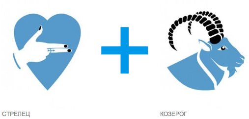 Совместимость козерога и стрельца — в любви и браке