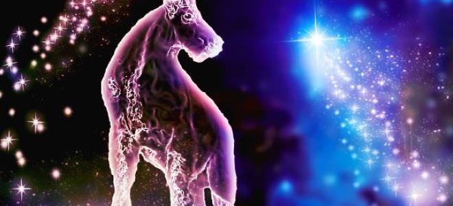 Совместимость козерогов — причины конфликтов