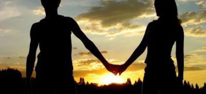 Совместимость Крысы и Тигра — совместимость в бизнесе и любви