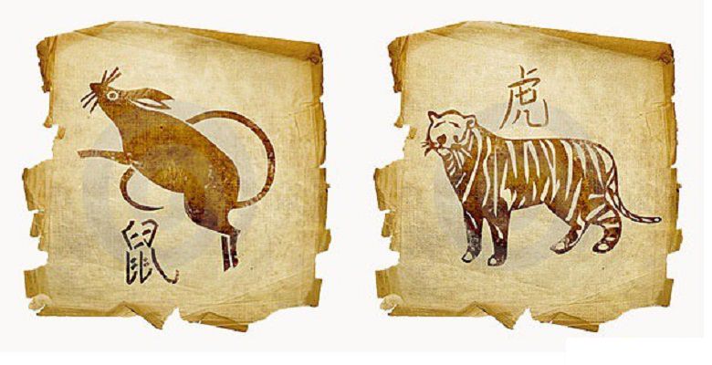 Совместимость Крысы и Тигра — совместимость в бизнесе и любви