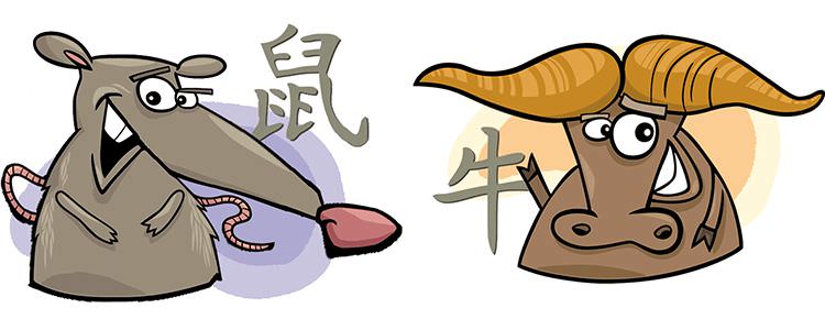 Совместимость крысы и быка — проблемы в отношениях