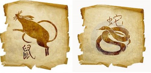 Совместимость крысы и змеи — проблемы в отношениях