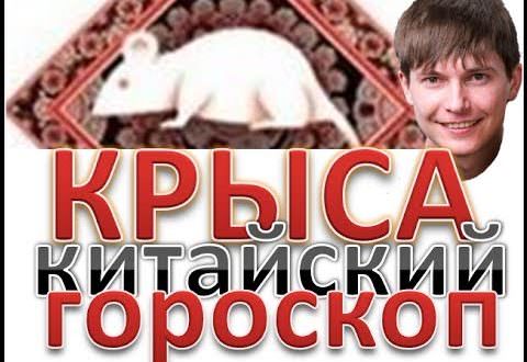 Совместимость крысы и змеи — проблемы в отношениях