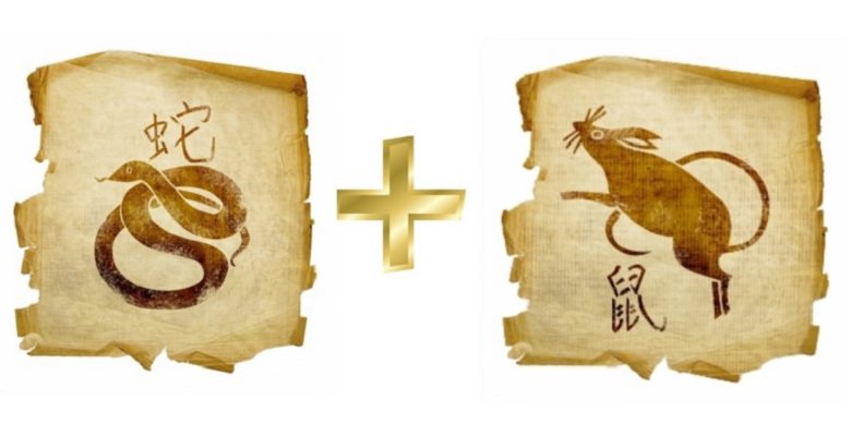 Совместимость крысы и змеи — проблемы в отношениях