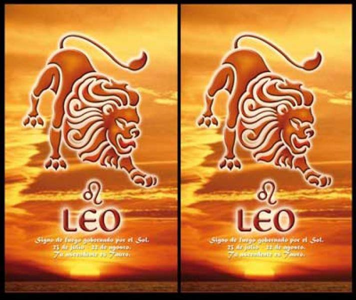 Совместимость Лев и Лев — их любовные и сексуальные отношения