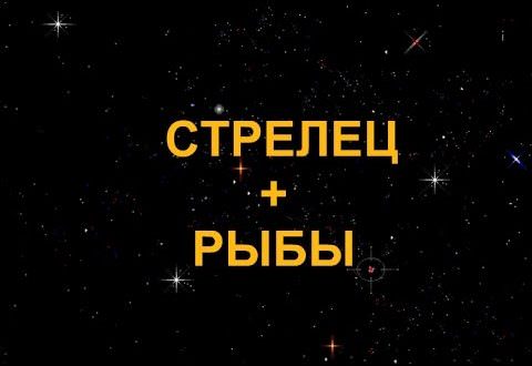 Совместимость мужчины-стрельца и женщины-рыбы: плюсы и минусы отношений
