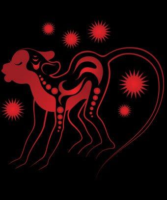 Совместимость обезьяны и крысы — подробная характеристика