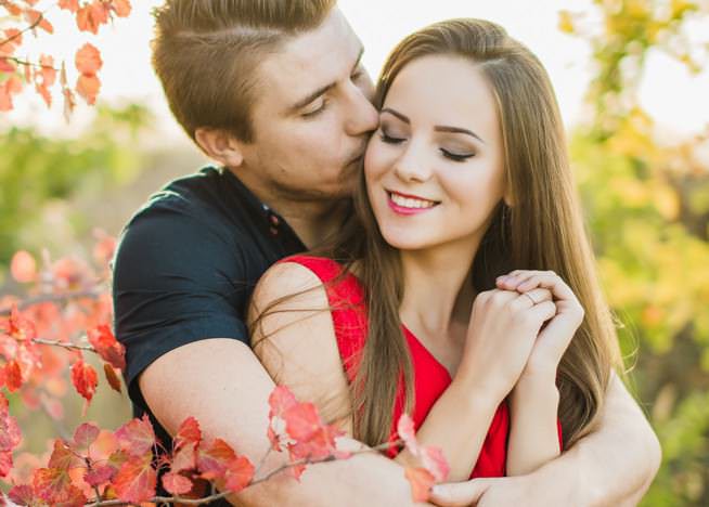 Совместимость петуха и быка — отношения и любовь