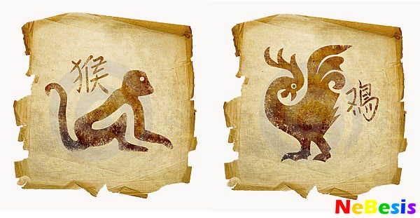 Совместимость петуха и крысы — отношения и любовь