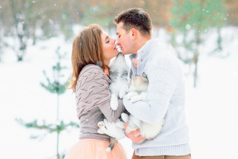 Совместимость петуха и змеи — девушки и парня