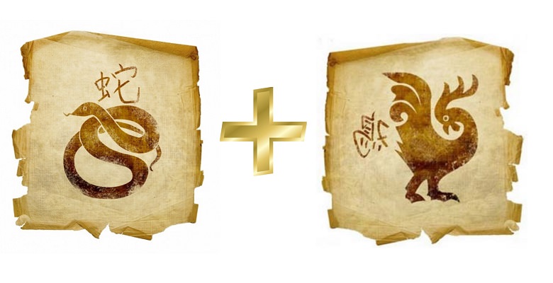 Совместимость петуха и змеи — девушки и парня