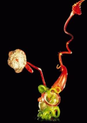 Совместимость петуха и змеи — девушки и парня