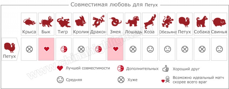 Совместимость петухов — подробный разбор