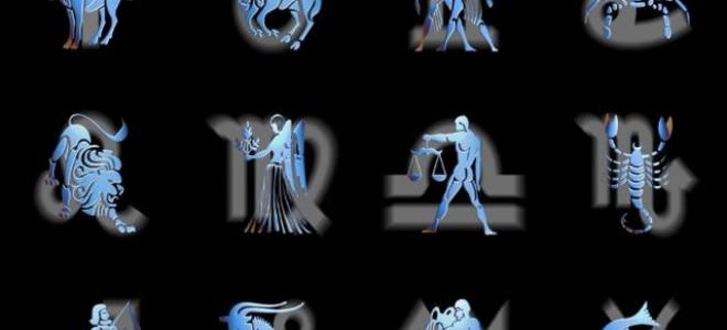 Совместимость рыб и льва: конфликты в паре из-за особенностей характера