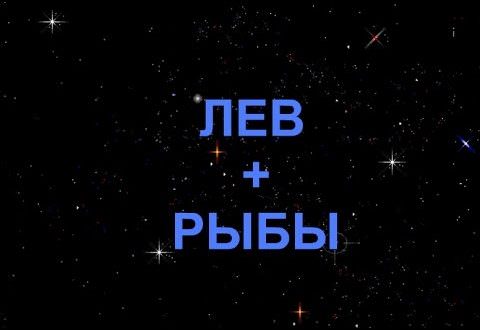 Совместимость рыб и льва: конфликты в паре из-за особенностей характера