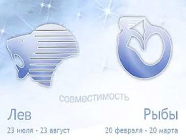 Совместимость рыб и льва: конфликты в паре из-за особенностей характера