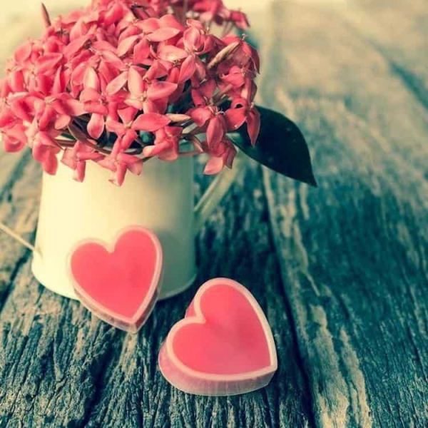 Совместимость рыб и льва: конфликты в паре из-за особенностей характера