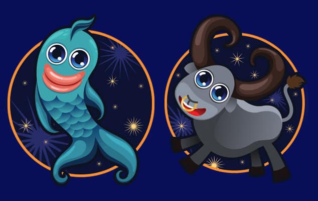 Совместимость рыб и тельца — негативные аспекты отношений