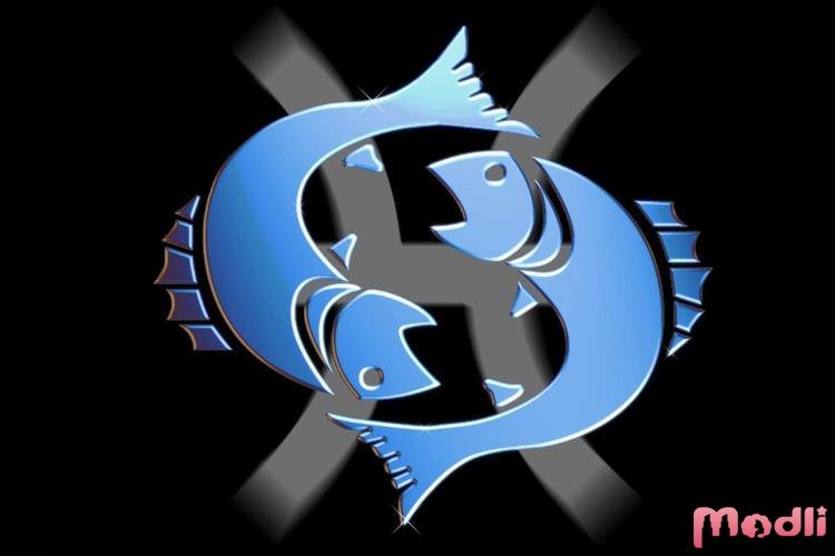 Совместимость рыб и тельца — негативные аспекты отношений