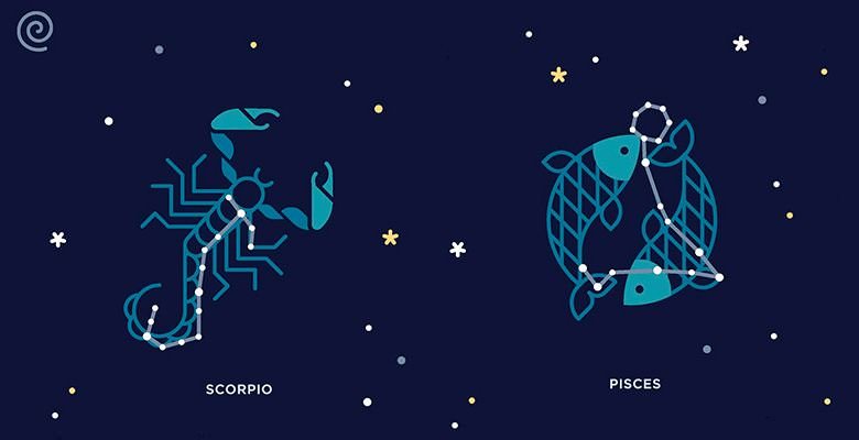 Совместимость рыбы и скорпиона: как избежать разногласий