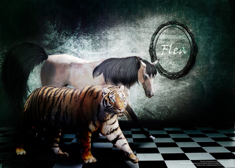 Совместимость тигра и лошади — конфликты и любовь