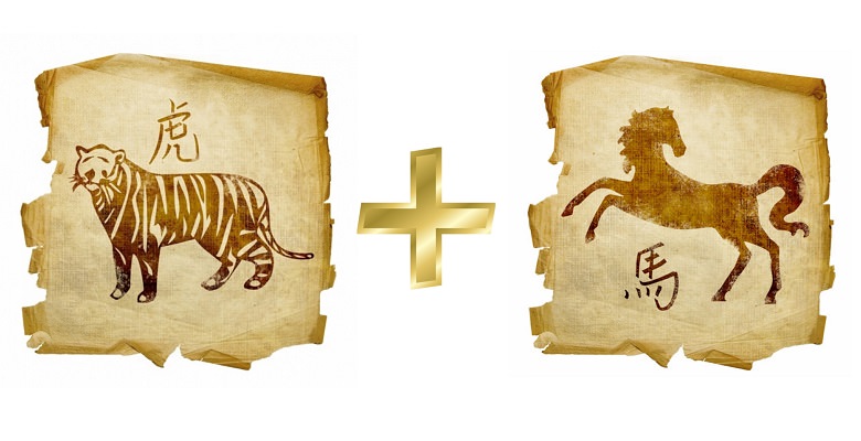 Совместимость тигра и лошади — конфликты и любовь