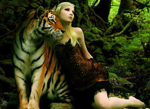 Совместимость тигра и змеи — мужчины и женщины