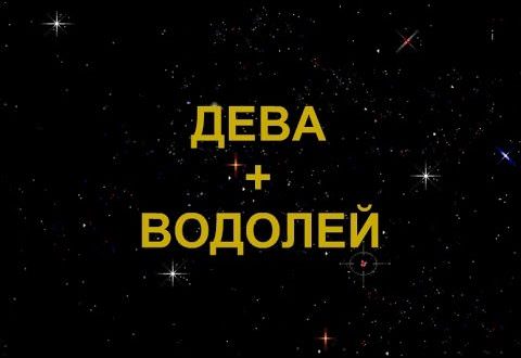 Совместимость водолея и девы — совместимость мужчины и женщины в любви и браке по гороскопу