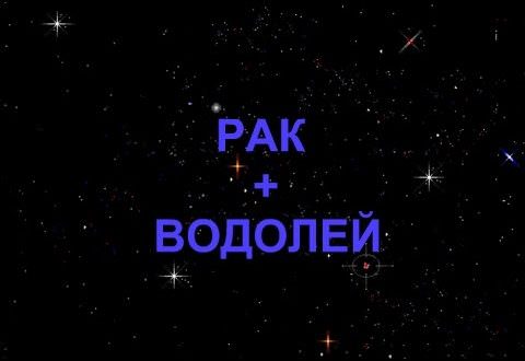 Совместимость водолея и рака — причины конфликтов