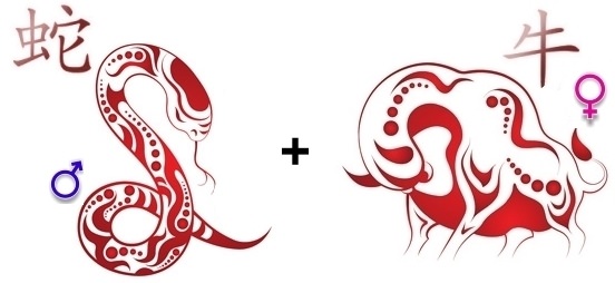 Совместимость змеи и быка — разберем подробно