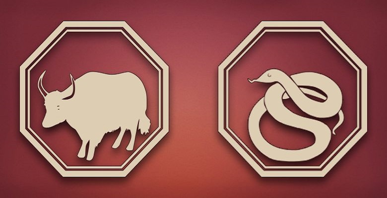 Совместимость змеи и быка — разберем подробно