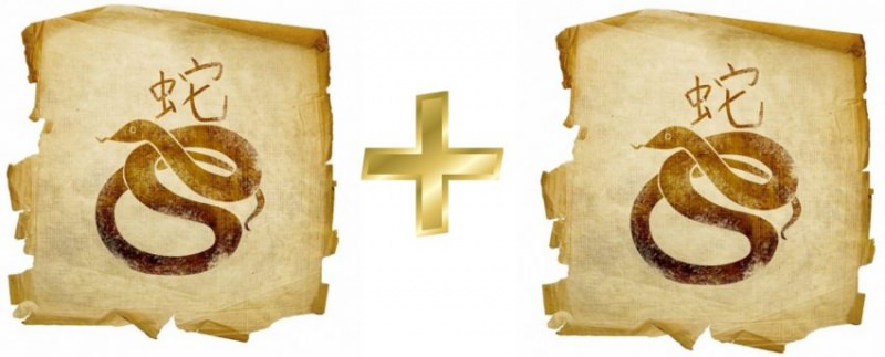 Совместимость Змеи с другими знаками зодиака по восточному гороскопу