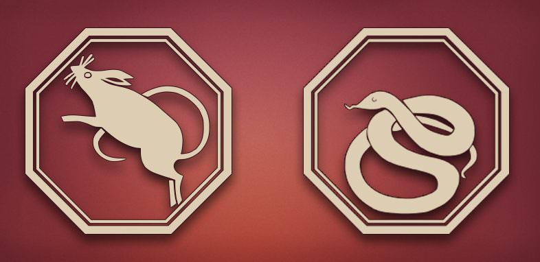 Совместимость Змеи с другими знаками зодиака по восточному гороскопу